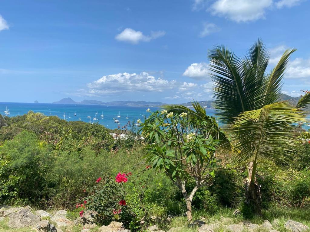 Superbe Appartement Vue Sur Mer Sainte-Anne Exterior foto